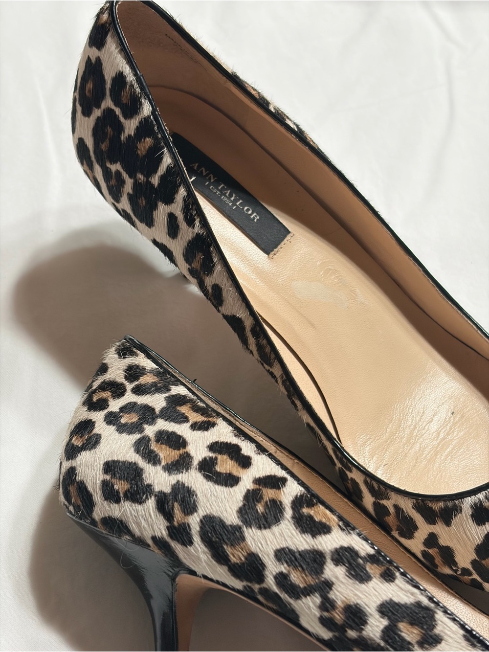 Ann Taylor Leopard-Print Pointed Toe Flats - Black, Brown, Cream - Picture 12 of 15